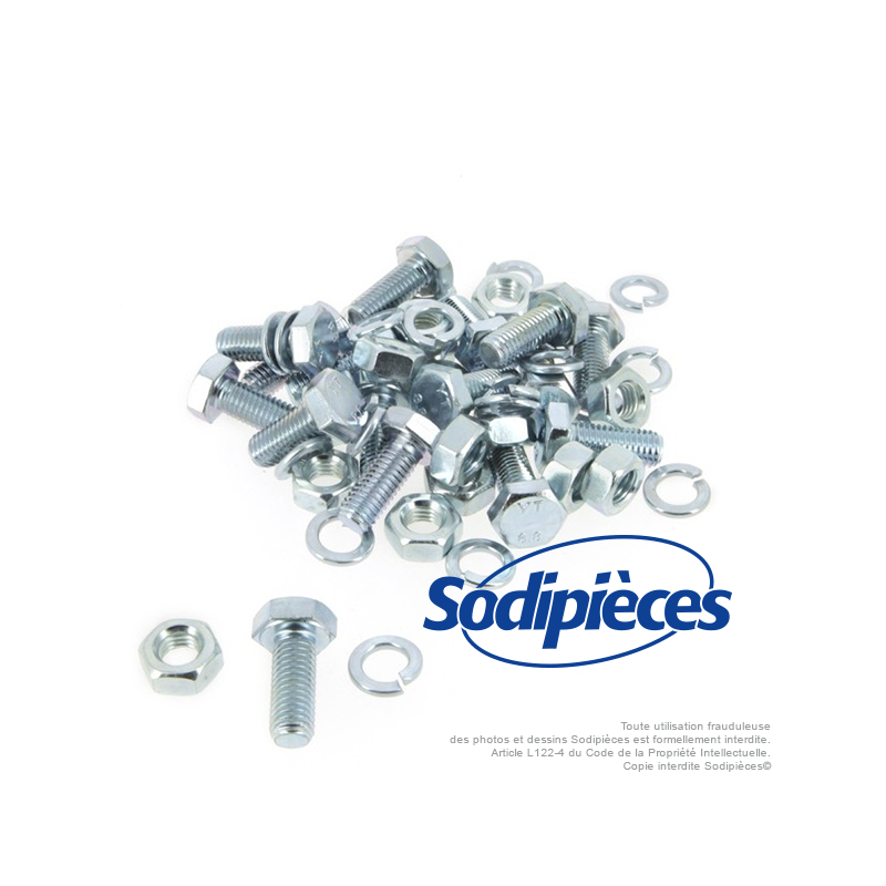 Boulons diam 10 mm x 25 mm . Lot de 25.