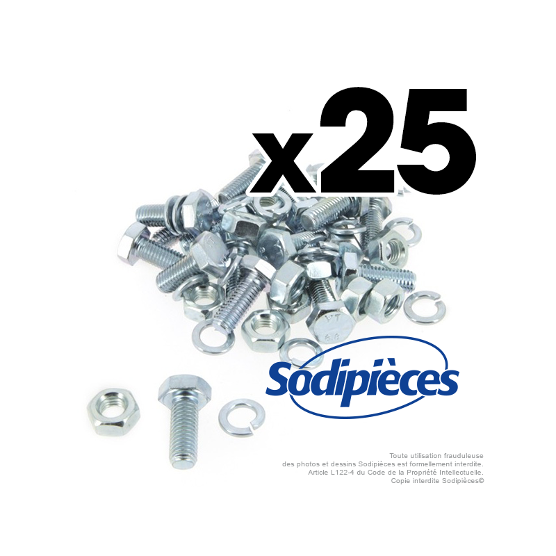 Boulons diam 10 mm x 25 mm . Lot de 25.