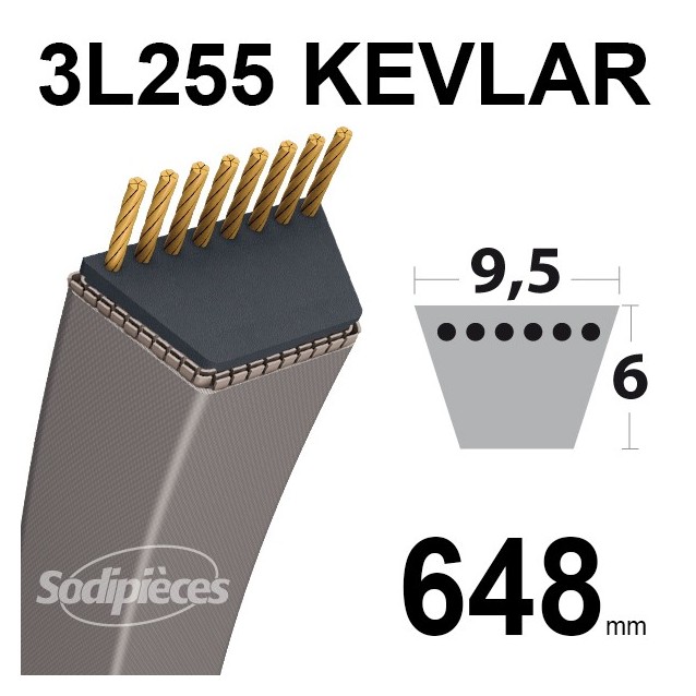 Courroie tondeuse 3L255 Kevlar Trapézoïdale. 9,5 mm x 648 mm.