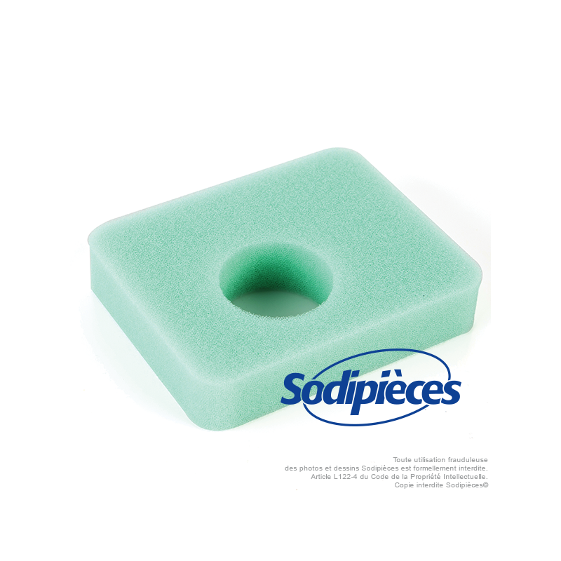 Filtre à air en mousse pour moteur Briggs & Stratton n° origine 799579