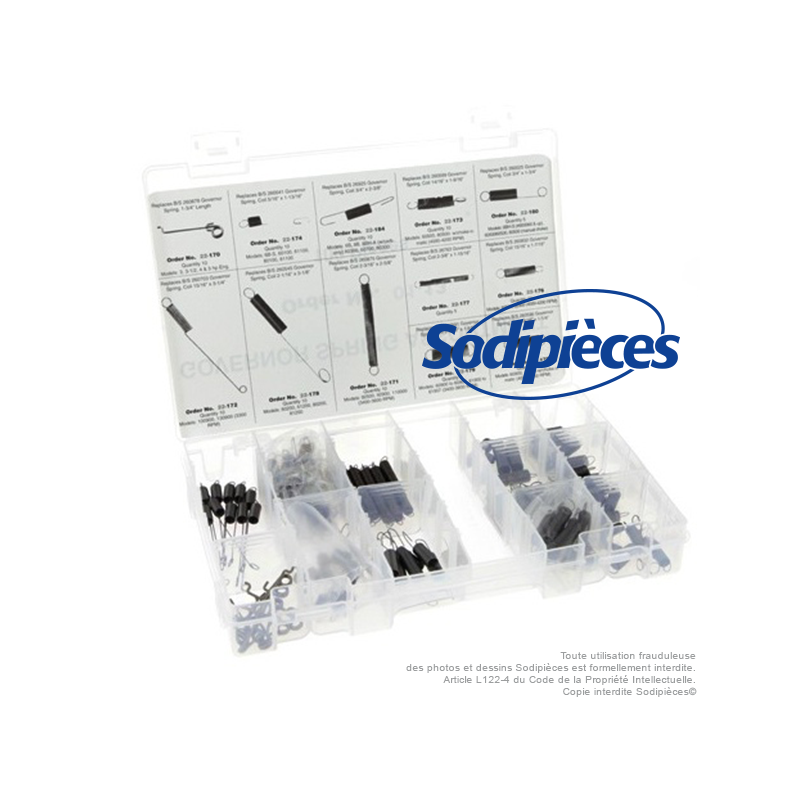 100 ressorts de régulateur BRIGGS (12 modèles) 