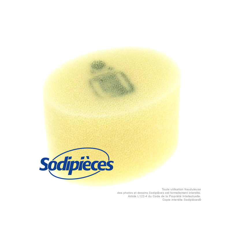 Filtre à air pour Tecumseh 29961