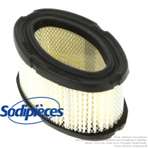 Filtre à air pour Tecumseh 33268