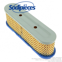 Filtre à air pour Tecumseh 35403