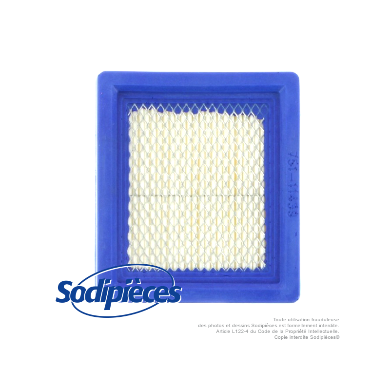 Filtre à air pour Tecumseh 36044, 36046