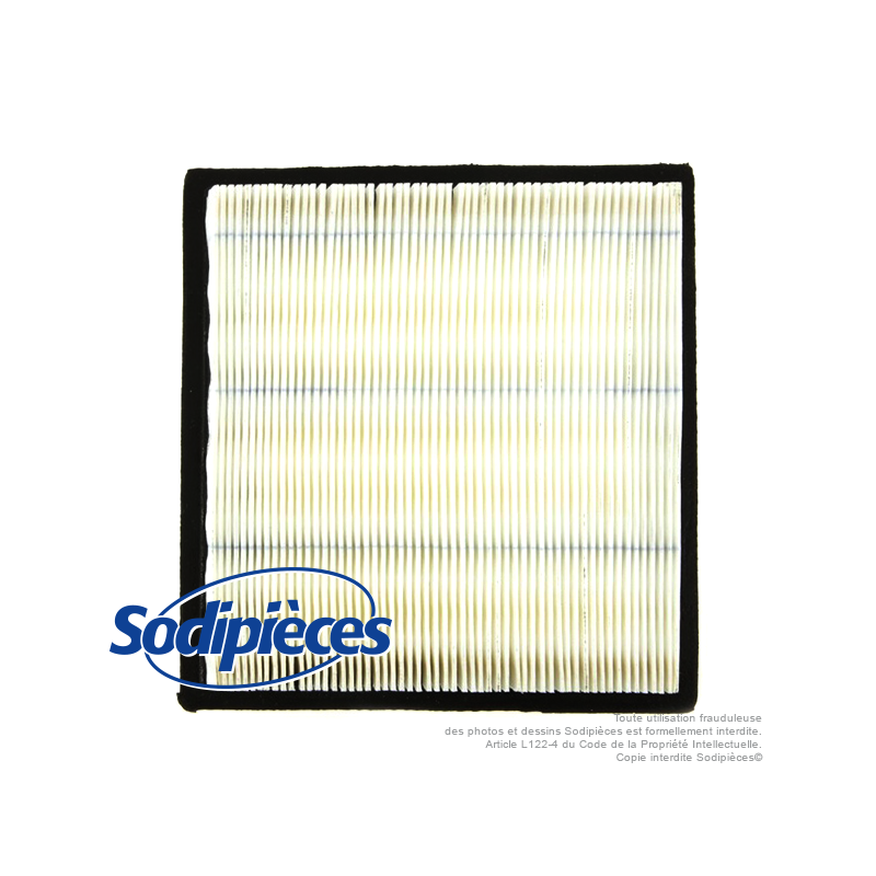 Filtre à air pour Tecumseh 37360