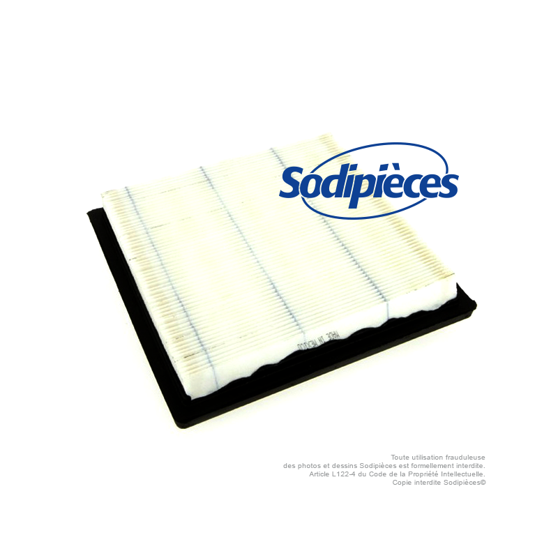 Filtre à air pour Tecumseh 37360