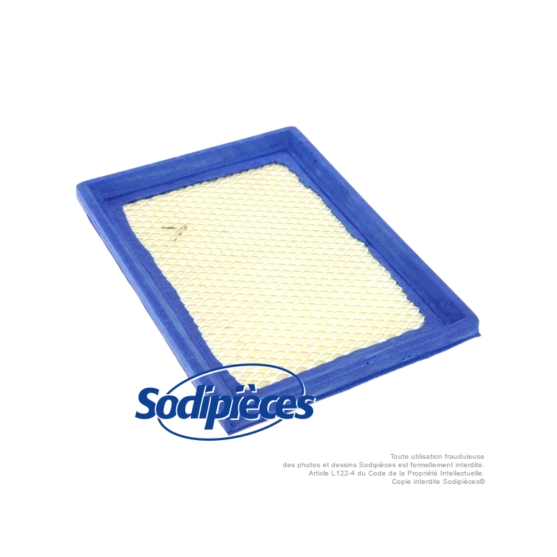 Filtre à air pour B&S 397795