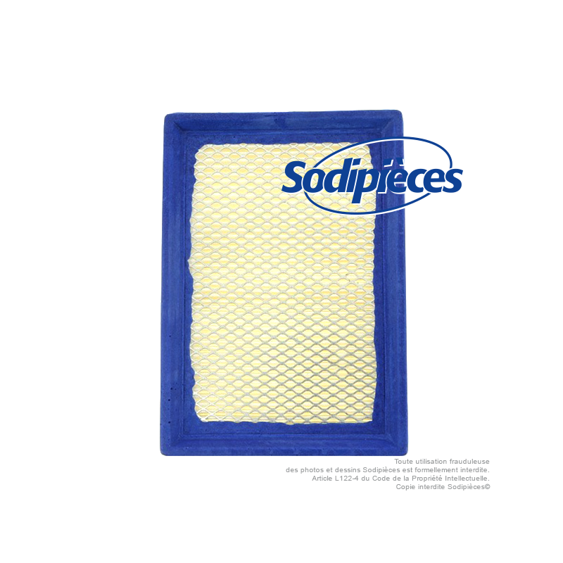 Filtre à air pour B&S 397795