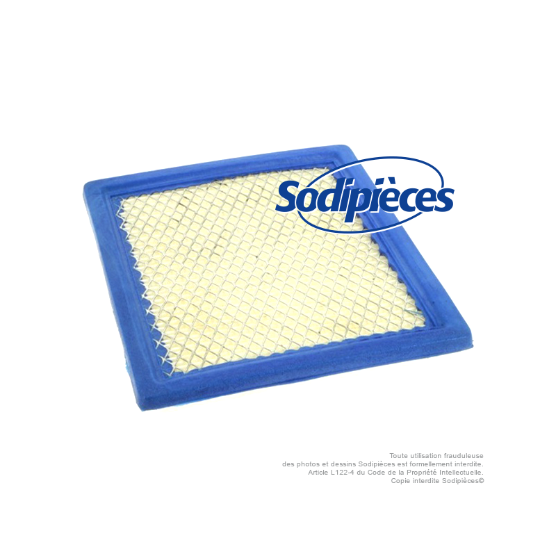 Filtre à air pour B&S 805113