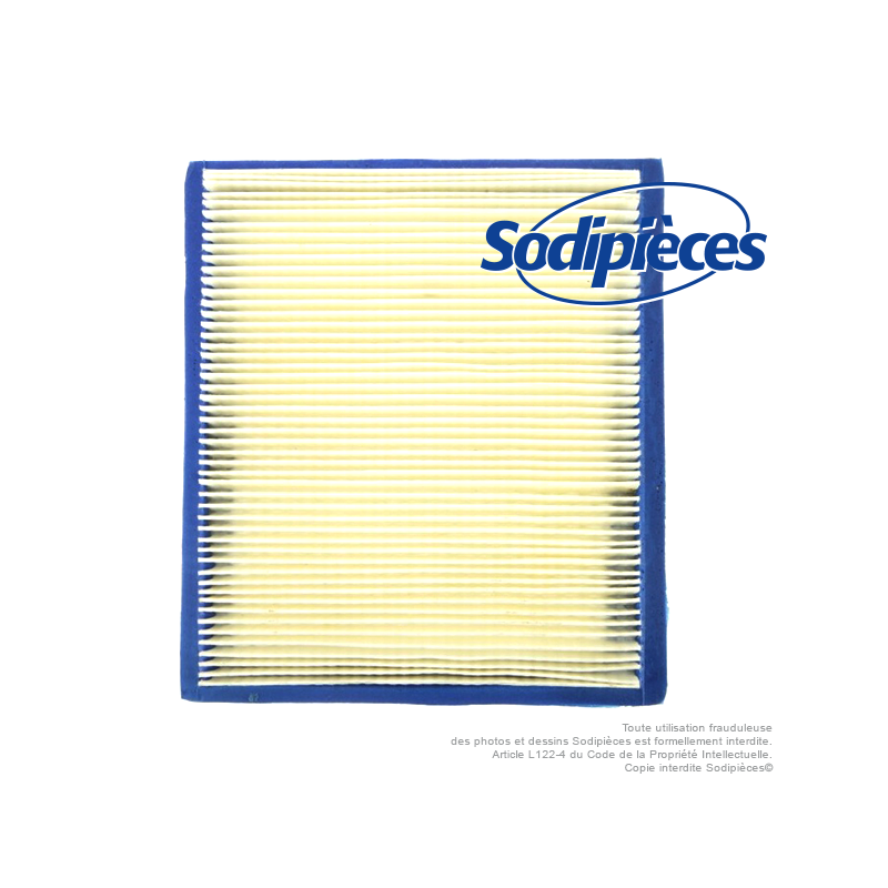 Filtre à air pour B&S 805113