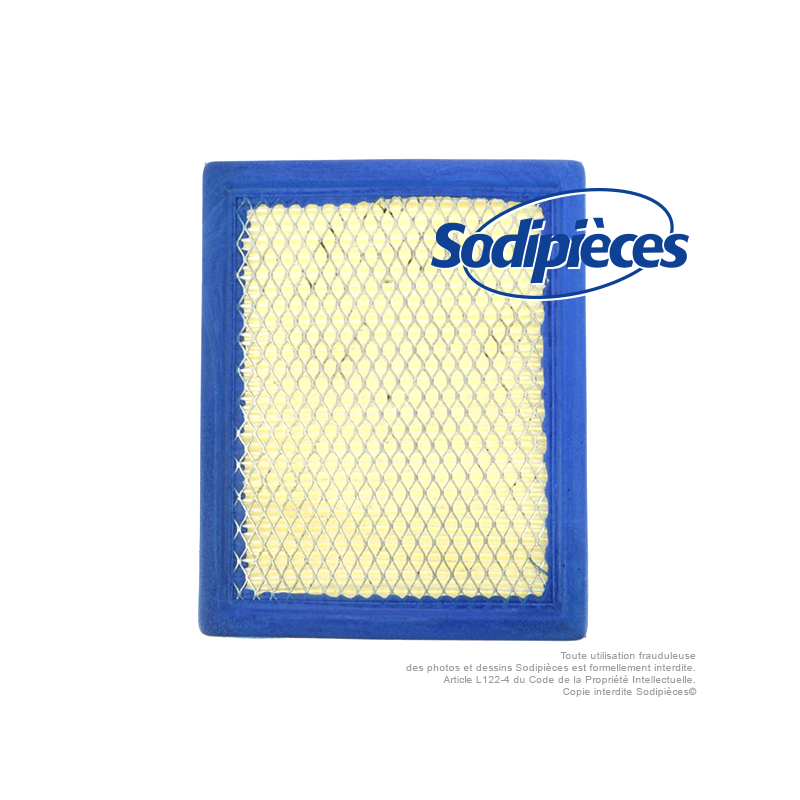 Filtre à air pour B&S 805113