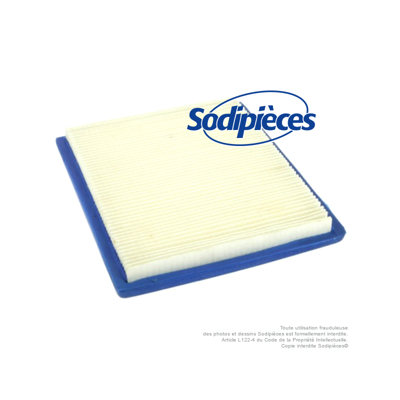Filtre à air pour B&S 805113