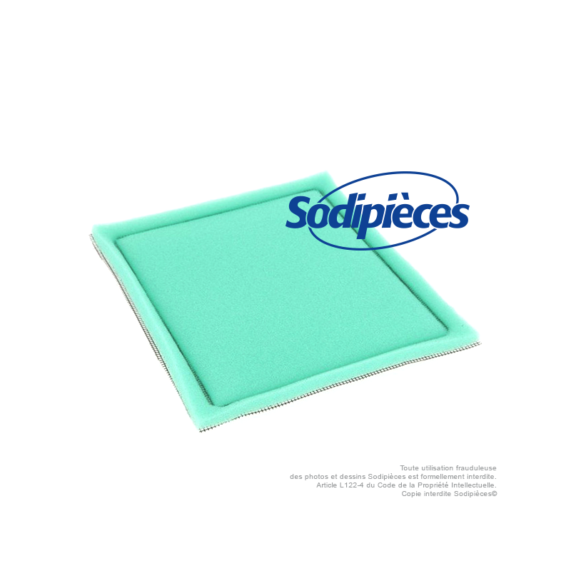 Pré-filtre pour Briggs 805267