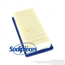 Filtre à air pour B&S 491384