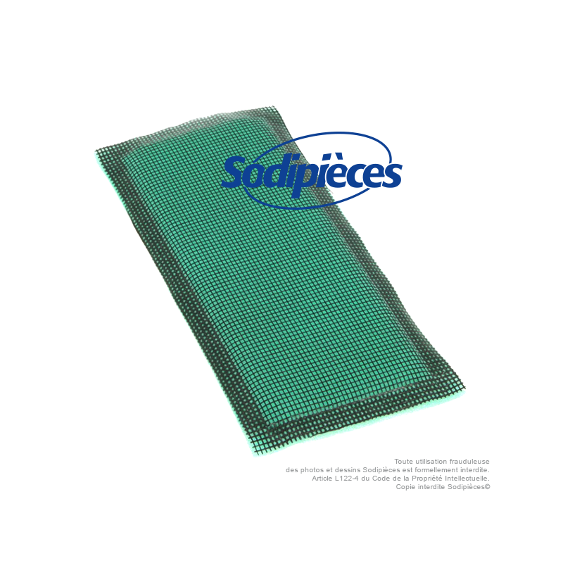 Pré-filtre pour Briggs 492889