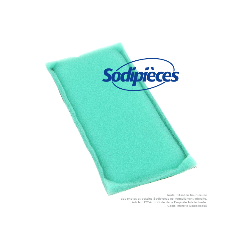 Pré-filtre pour Briggs 492889