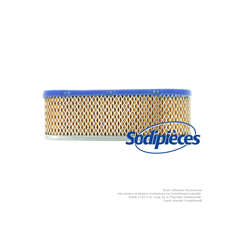 Filtre à air pour B&S 493910-691667