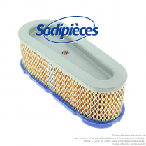 Filtre à air pour B&S 493910-691667