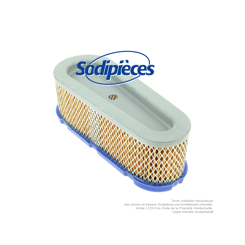 Filtre à air pour B&S 493910-691667