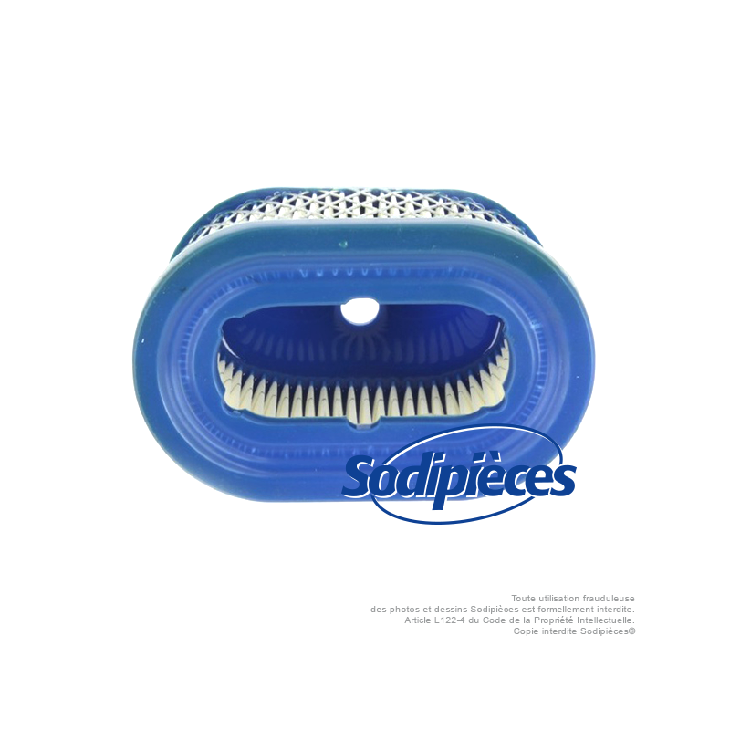 Filtre à air pour B&S 494586-497725