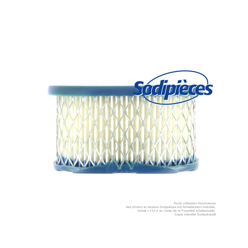 Filtre à air pour B&S 494586-497725