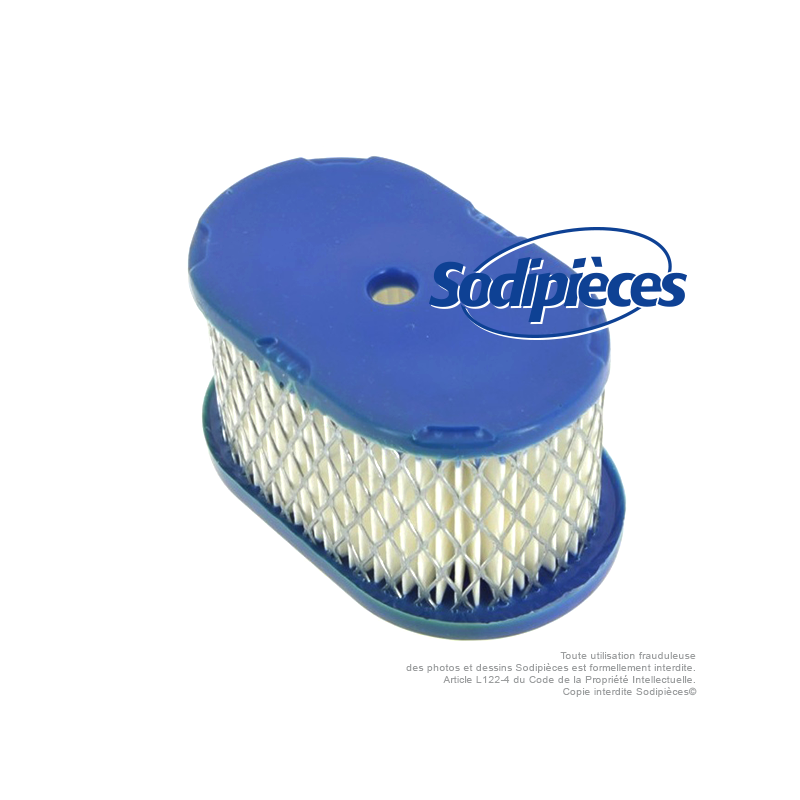 Filtre à air pour B&S 494586-497725