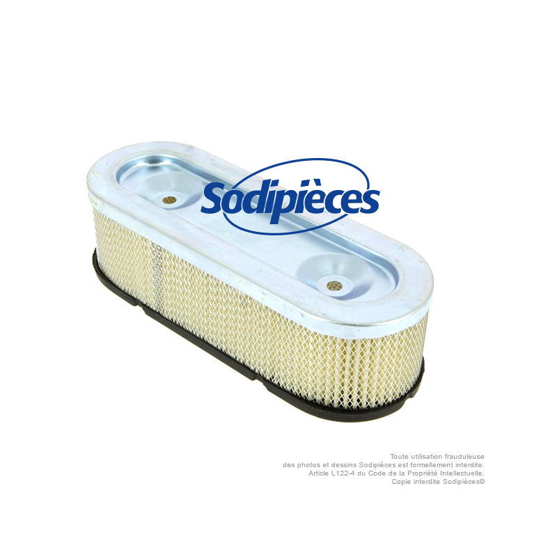 Filtre à air pour B&S 399968