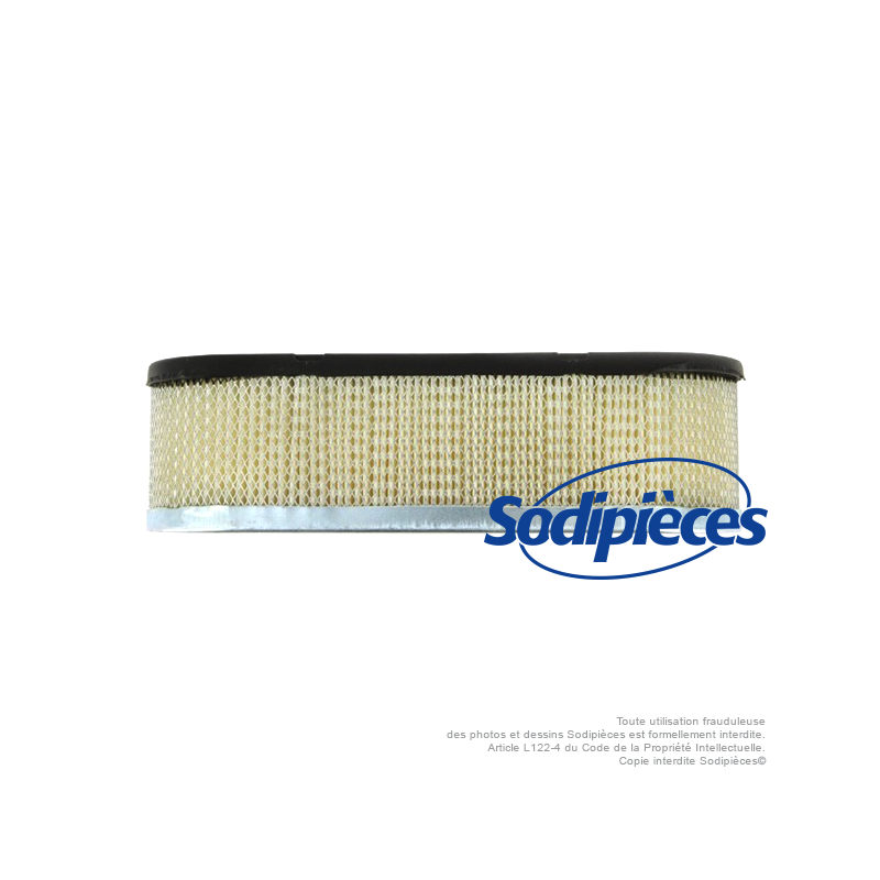 Filtre à air pour B&S 399968