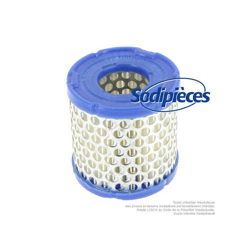 Filtre à air pour Briggs & Stratton 396424