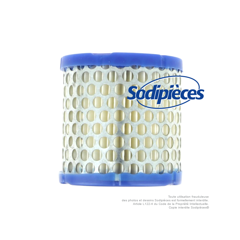 Filtre à air pour Briggs & Stratton 396424