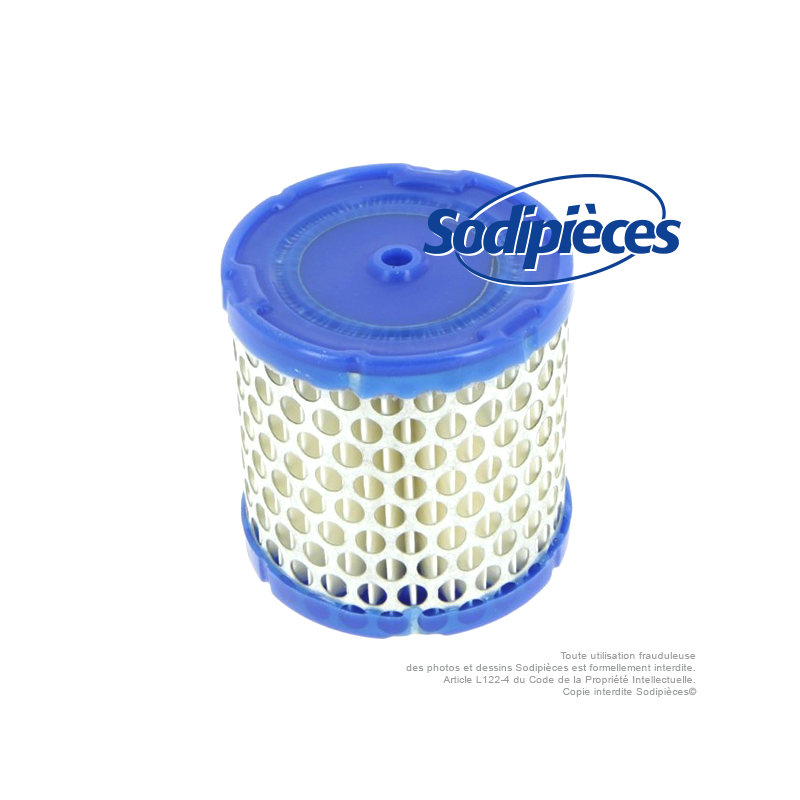 Filtre à air pour Briggs & Stratton 396424