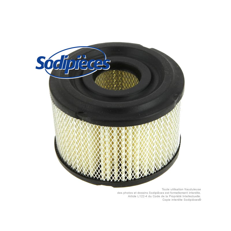 Filtre à air pour B&S 390492