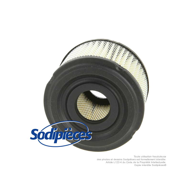 Filtre à air pour B&S 390492