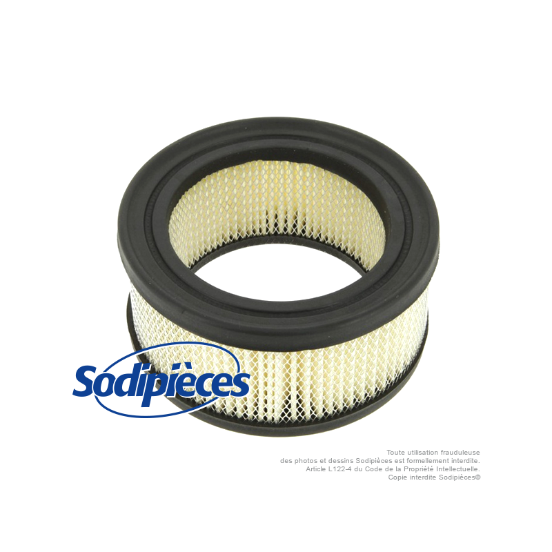 Filtre à air pour B&S 392286