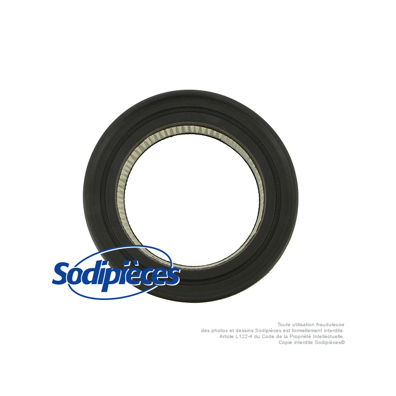 Filtre à air pour B&S 392286