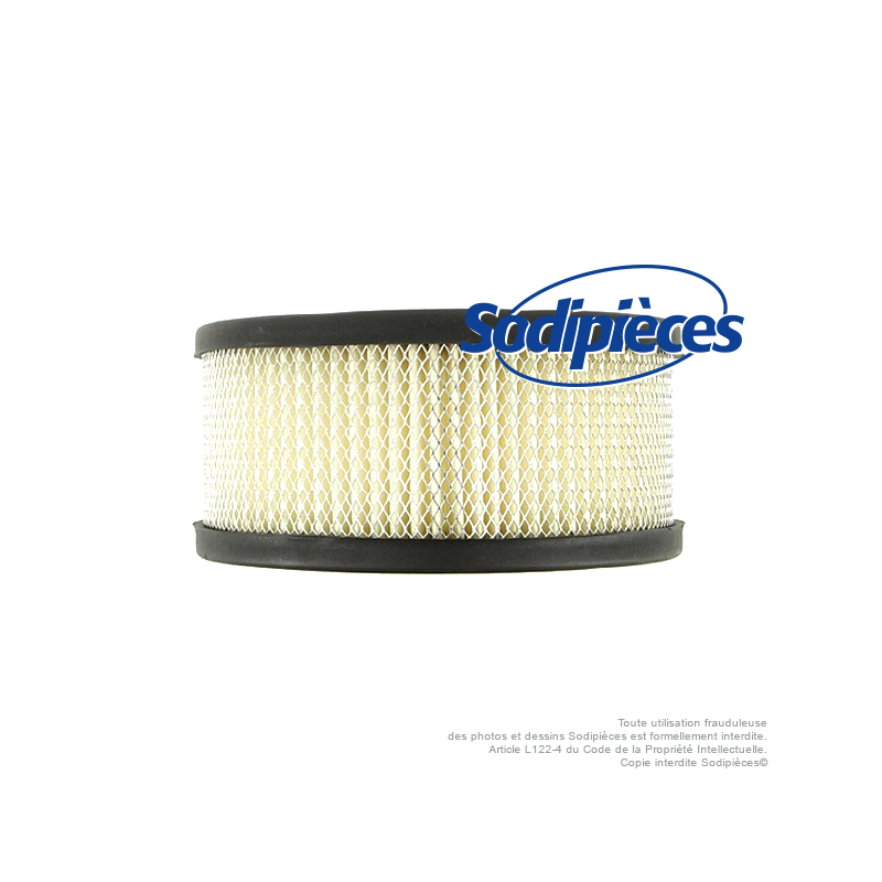 Filtre à air pour B&S 392286