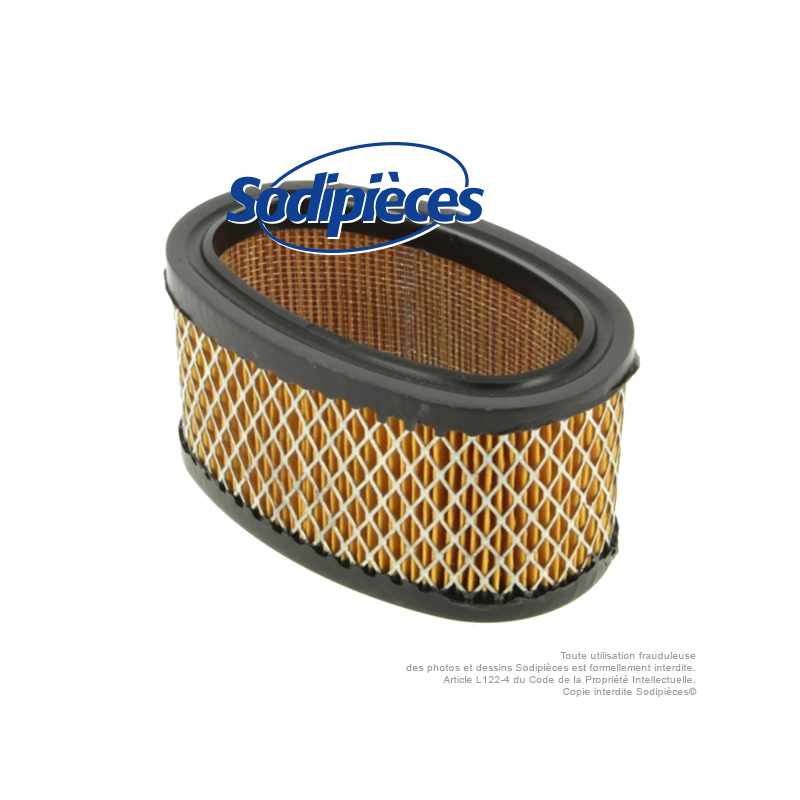 Filtre à air pour B&S 393725