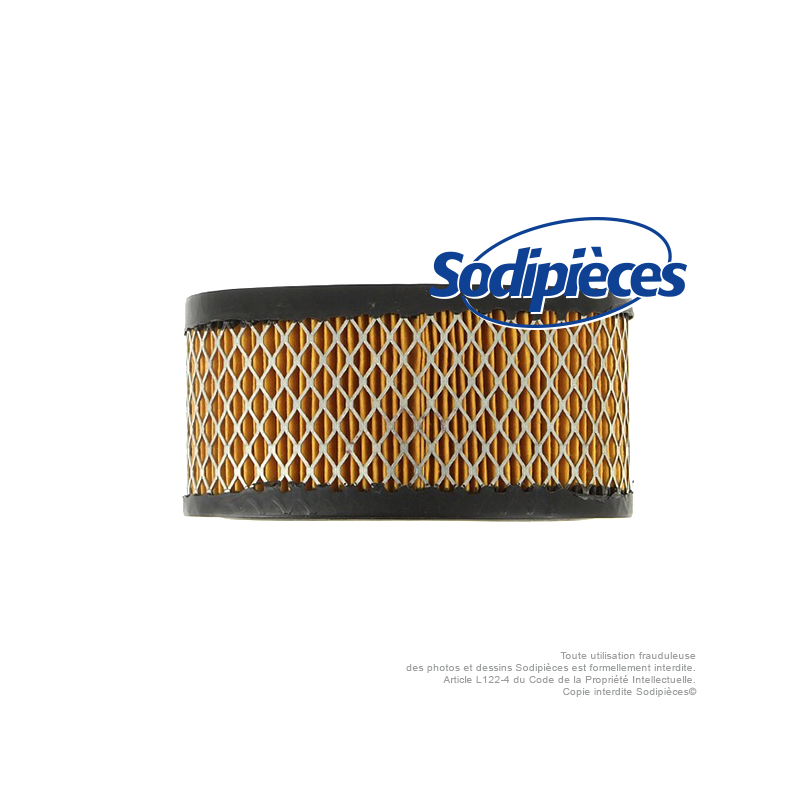 Filtre à air pour B&S 393725