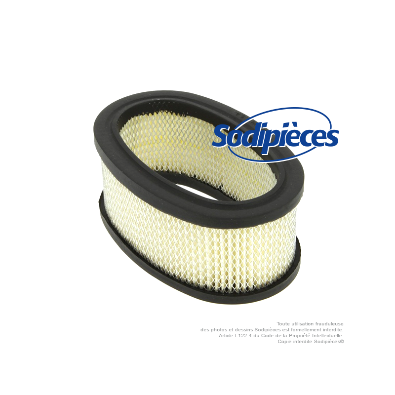 Filtre à air pour B&S 393406