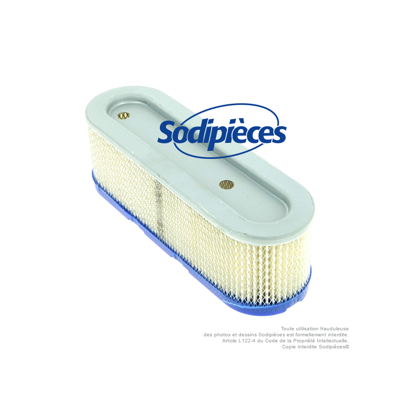 Filtre à air pour B&S 491519-399806