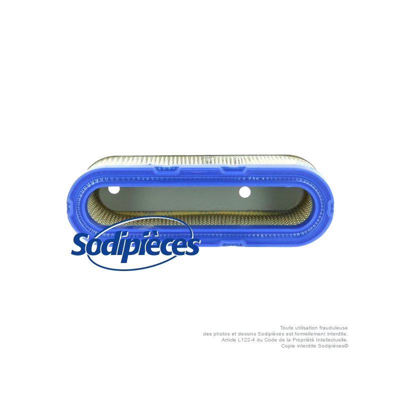 Filtre à air pour B&S 491519-399806