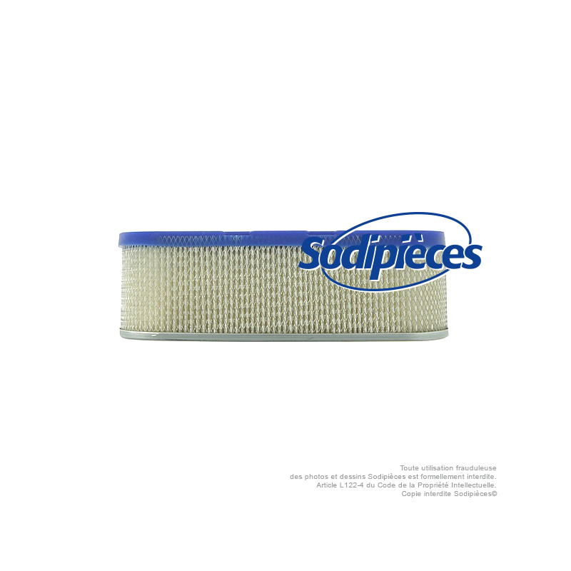 Filtre à air pour B&S 491519-399806
