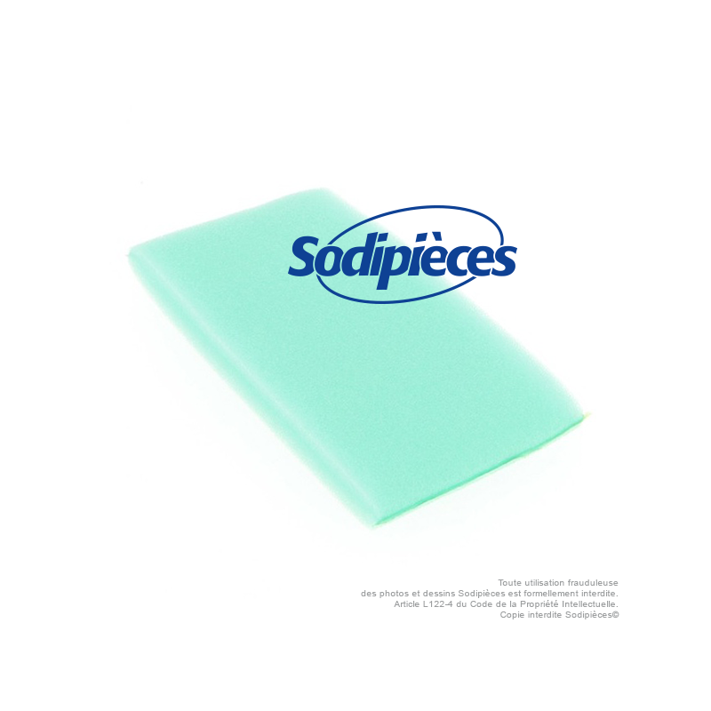 Pré-filtre pour B&S 273356