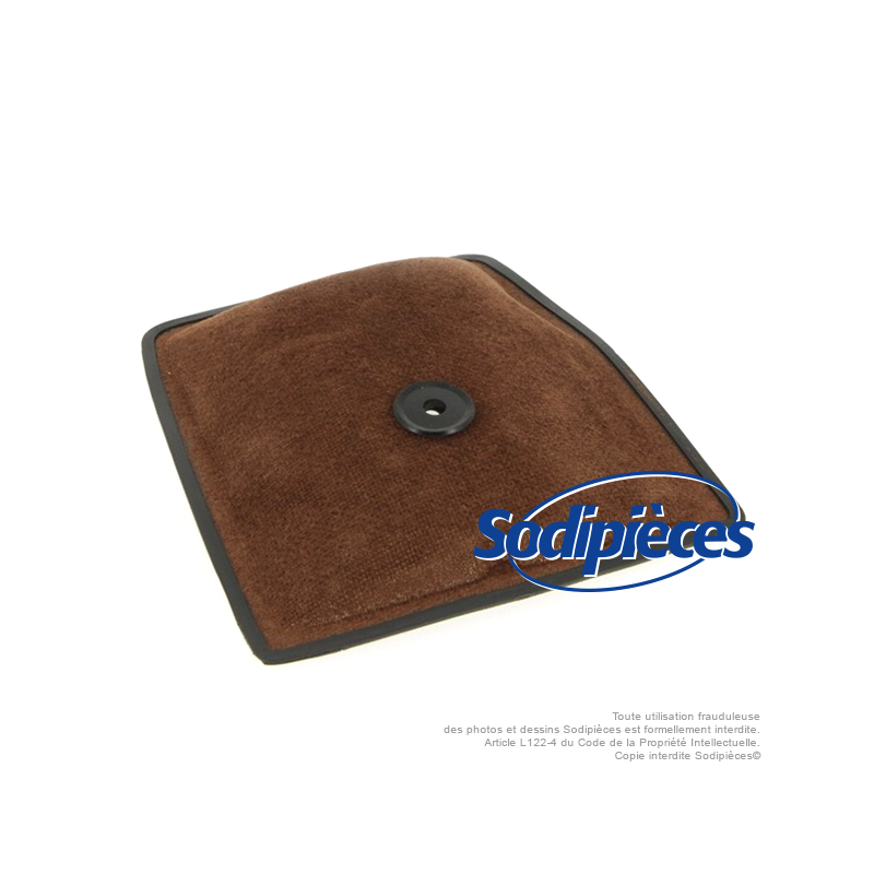 Filtre à air pour Homelite A69306