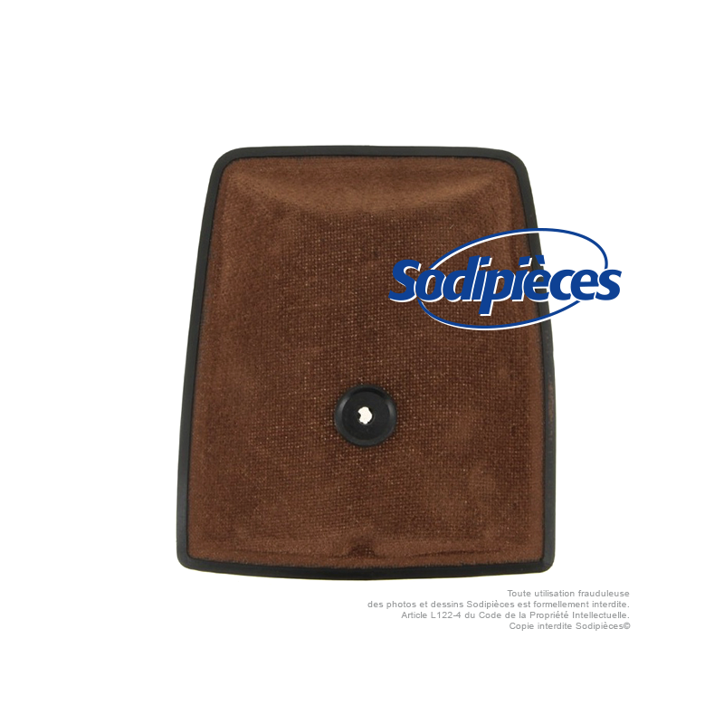 Filtre à air pour Homelite A69306