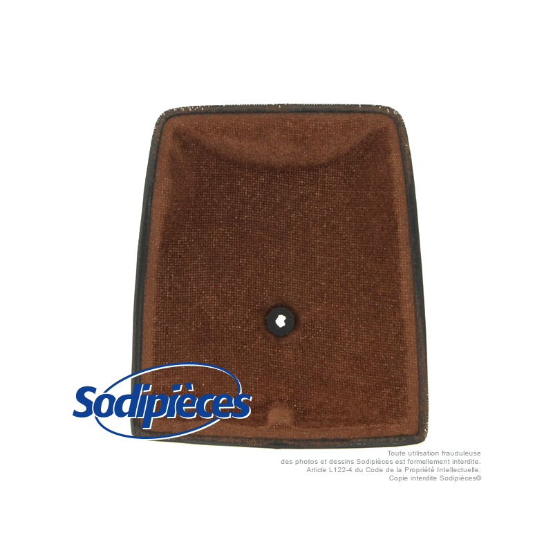 Filtre à air pour Homelite A69306