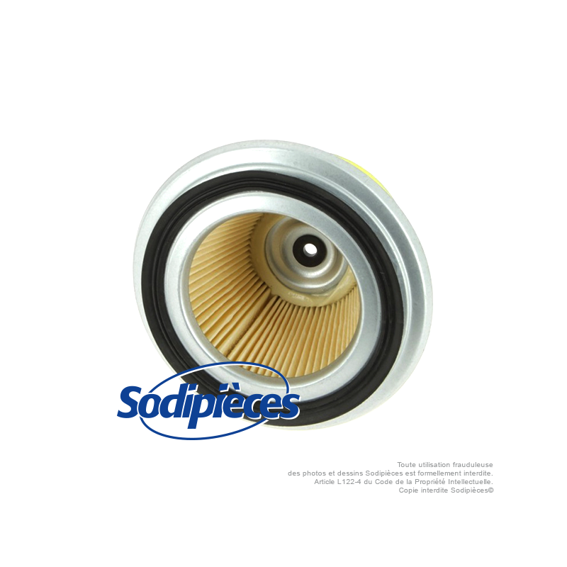 Filtre à air pour Honda 17211890023