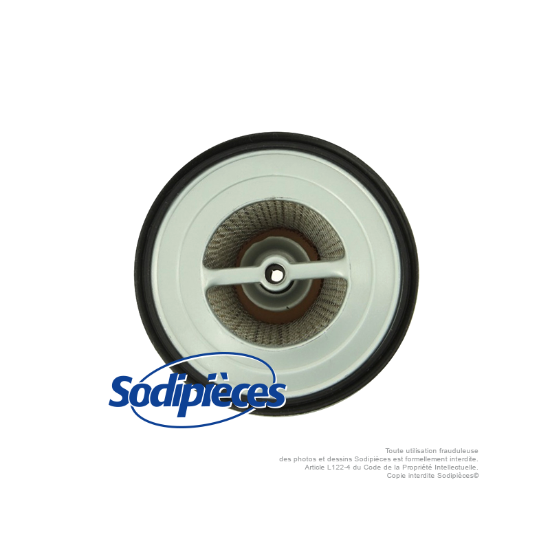 Filtre à air pour Honda 172A-188-3902