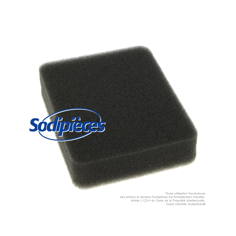 Filtre à air pour Honda 17211896000